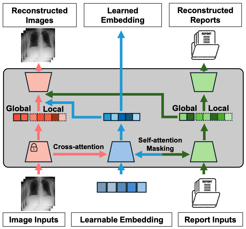 MedUnifier Framework Architecture